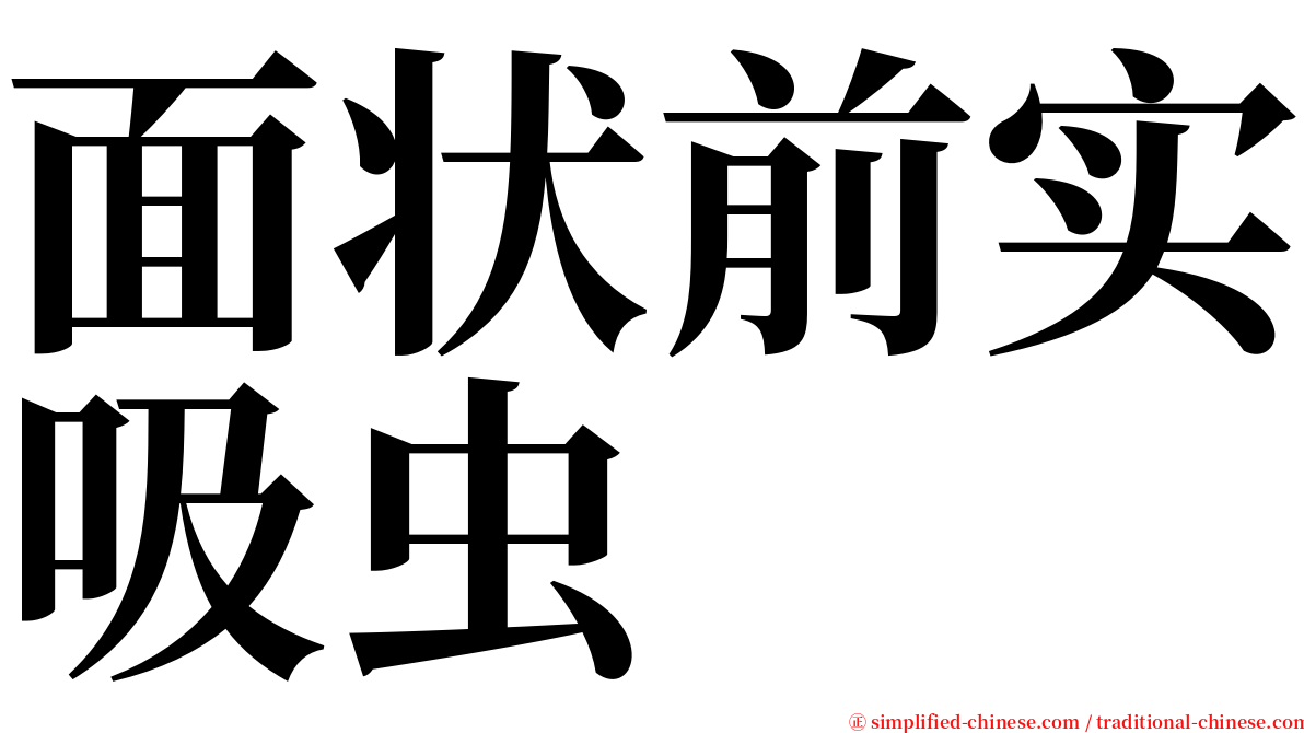 面状前实吸虫 serif font