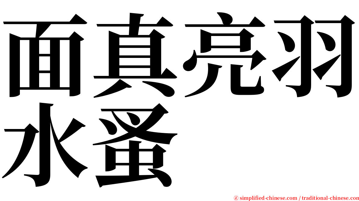 面真亮羽水蚤 serif font