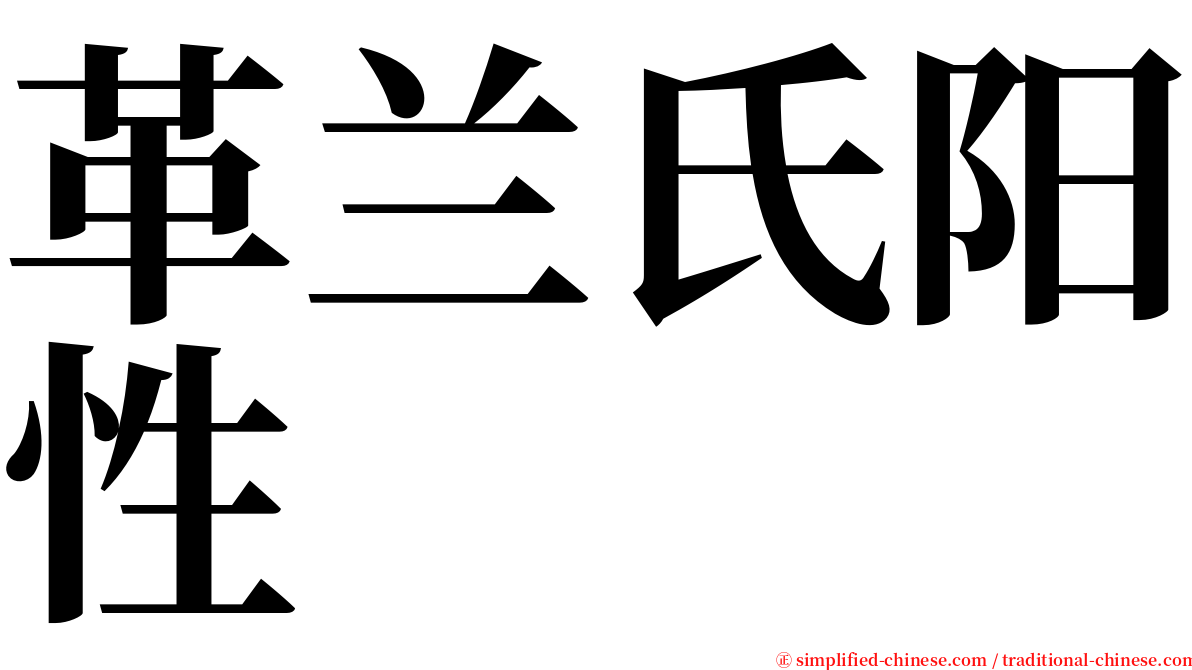 革兰氏阳性 serif font