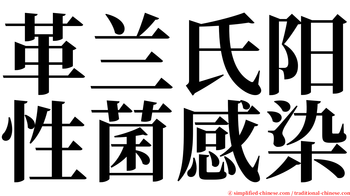 革兰氏阳性菌感染 serif font