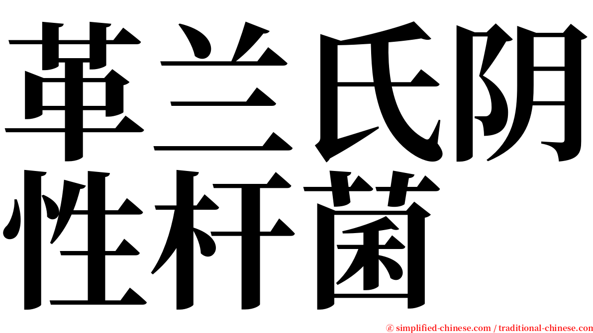 革兰氏阴性杆菌 serif font