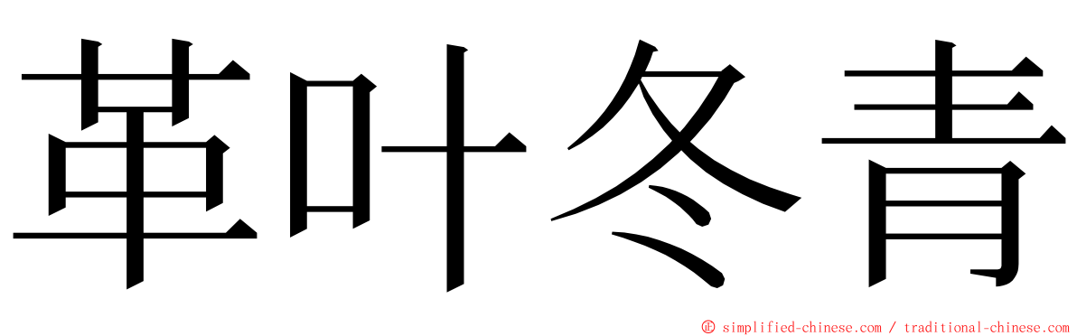 革叶冬青 ming font