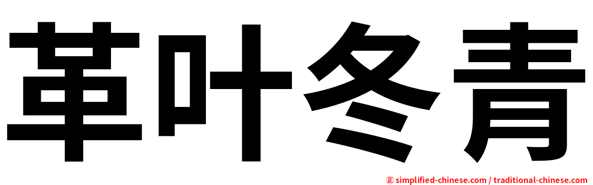 革叶冬青