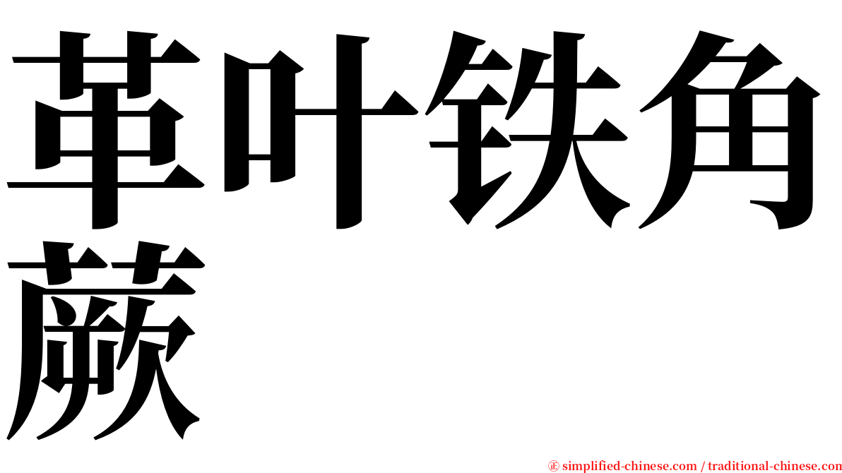 革叶铁角蕨 serif font