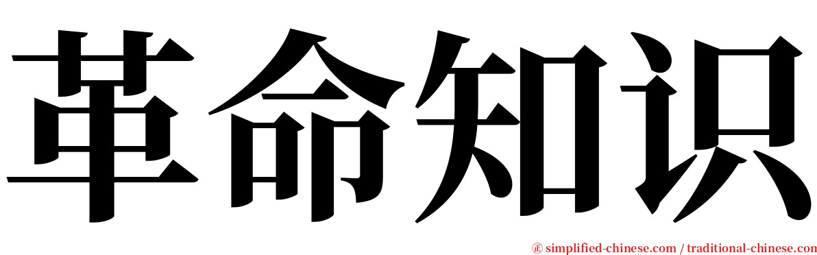 革命知识 serif font