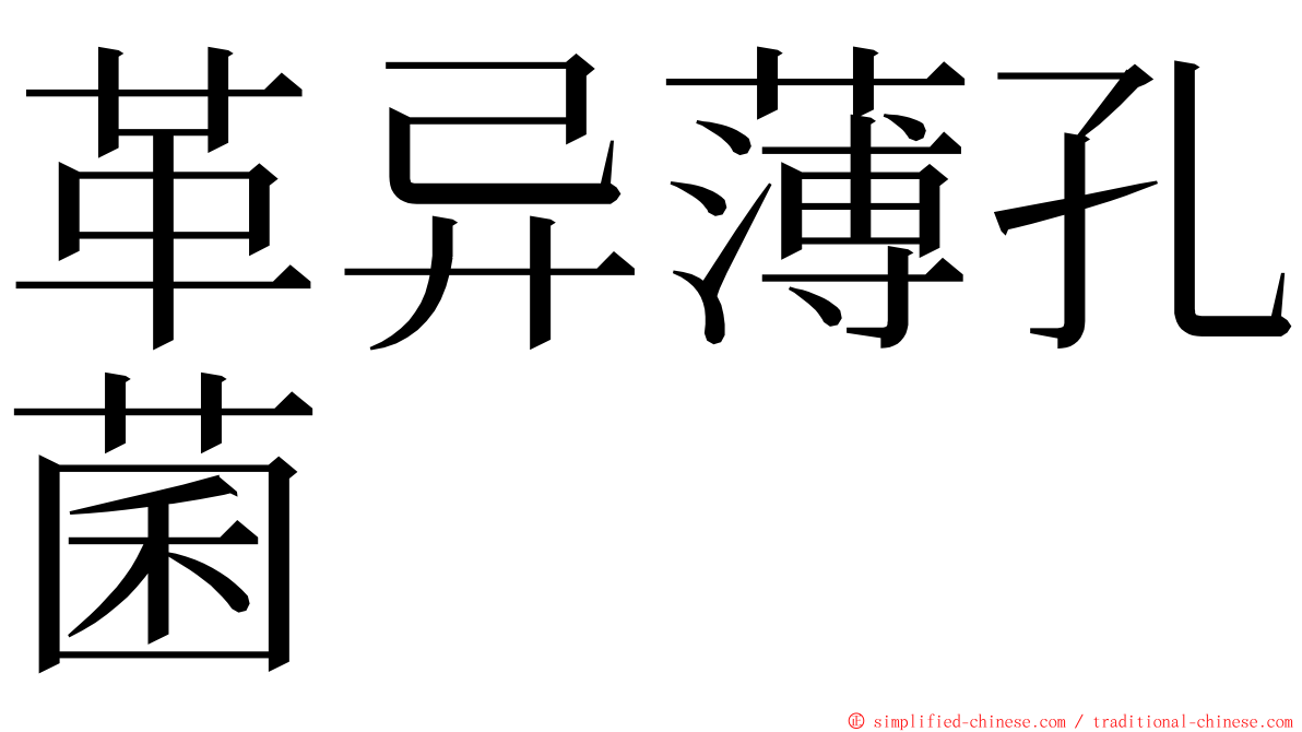 革异薄孔菌 ming font