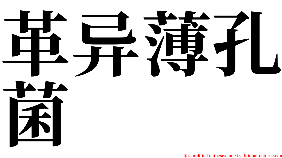 革异薄孔菌 serif font