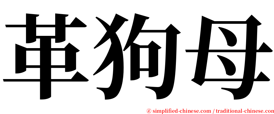 革狗母 serif font