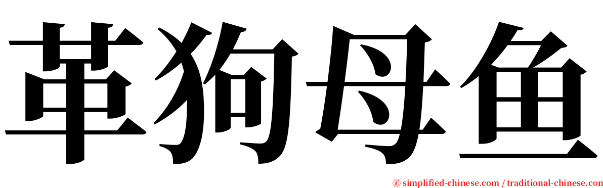 革狗母鱼 serif font