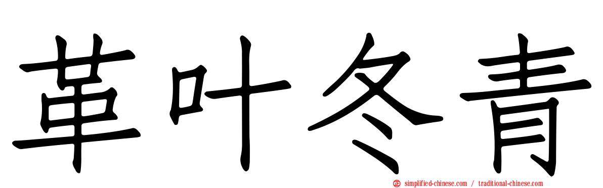 革叶冬青