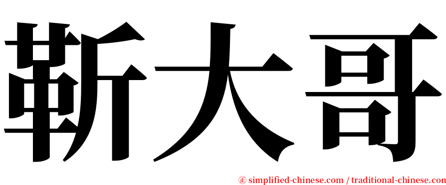 靳大哥 serif font