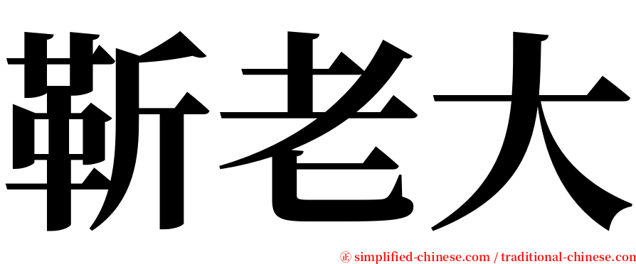 靳老大 serif font