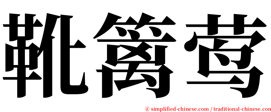 靴篱莺 serif font