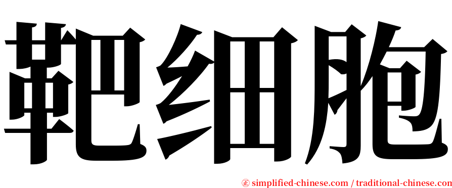 靶细胞 serif font