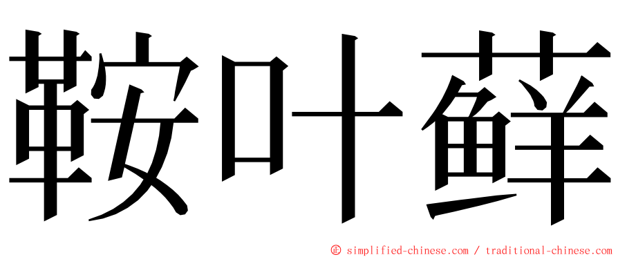 鞍叶藓 ming font