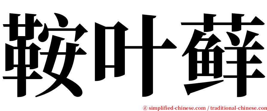 鞍叶藓 serif font