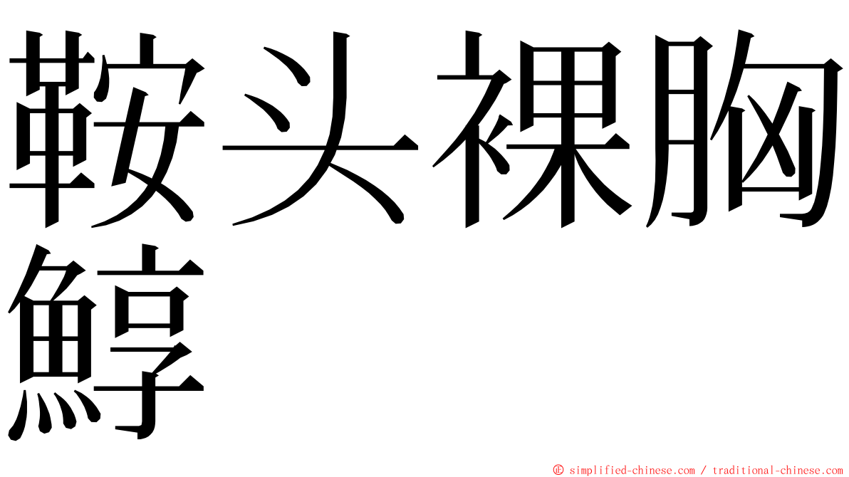 鞍头裸胸鯙 ming font