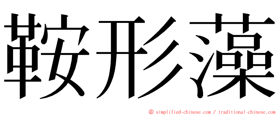 鞍形藻 ming font