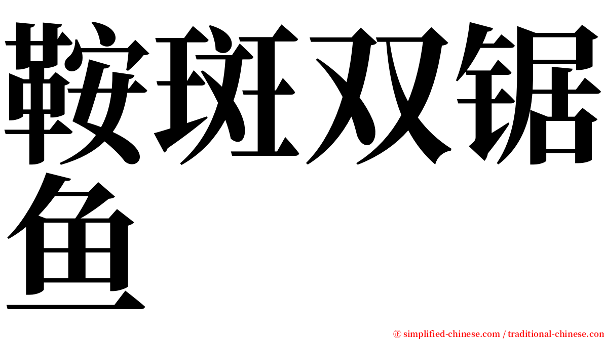 鞍斑双锯鱼 serif font