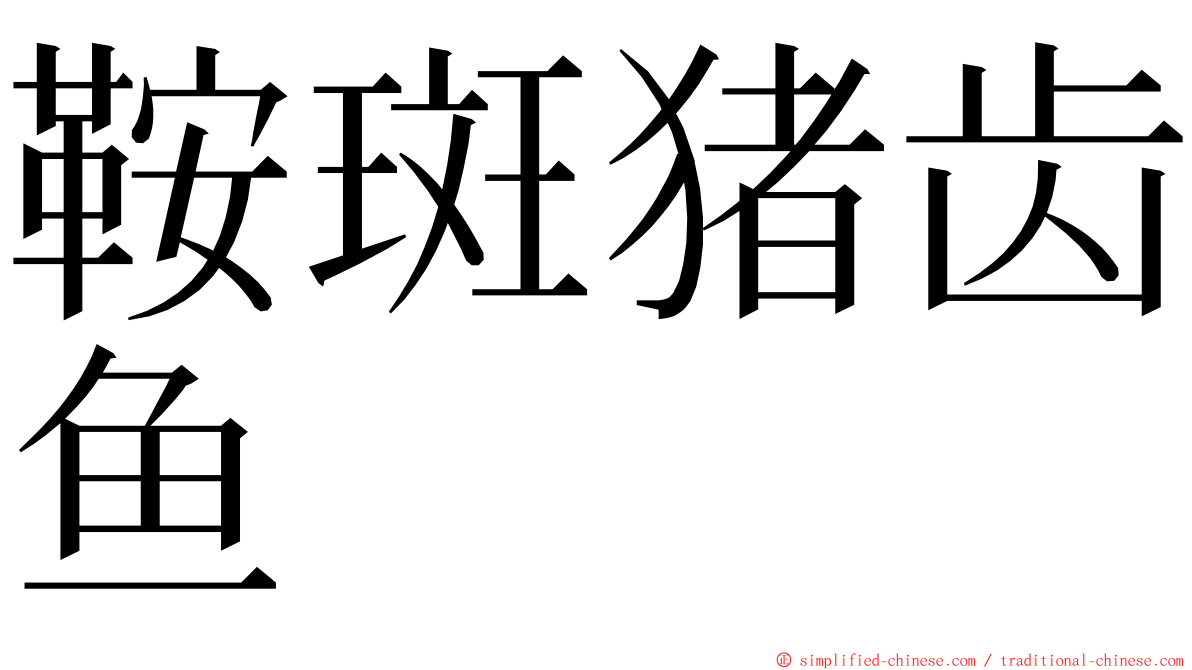 鞍斑猪齿鱼 ming font