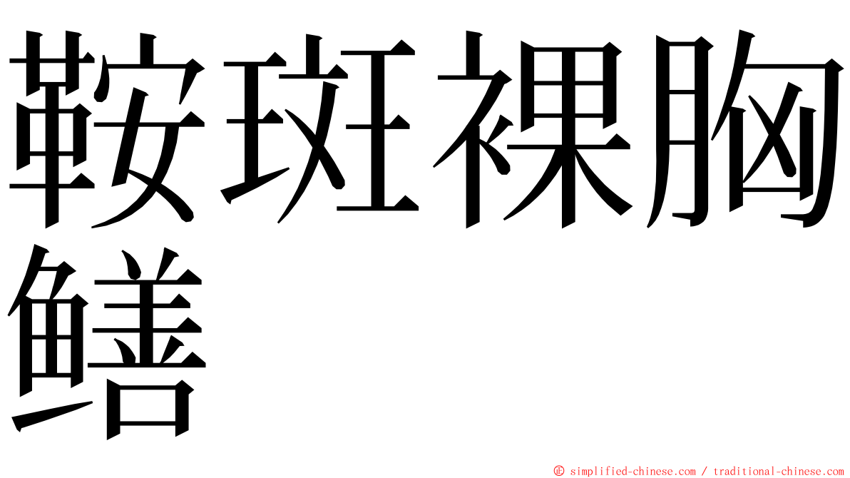 鞍斑裸胸鳝 ming font