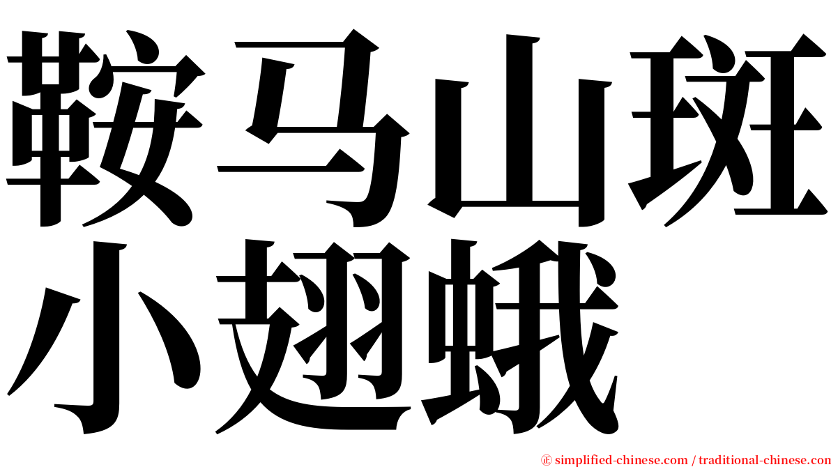 鞍马山斑小翅蛾 serif font