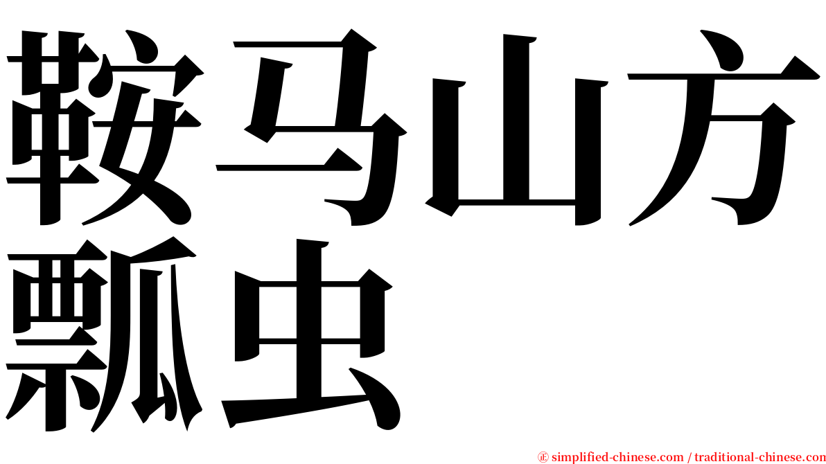 鞍马山方瓢虫 serif font