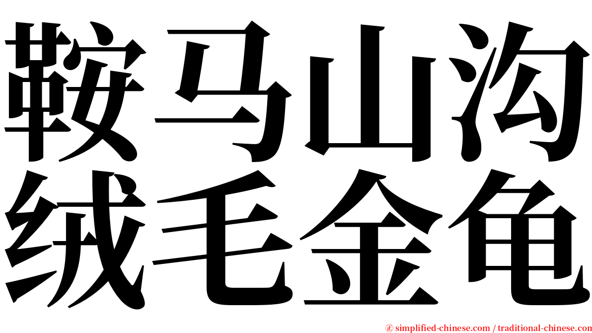 鞍马山沟绒毛金龟 serif font