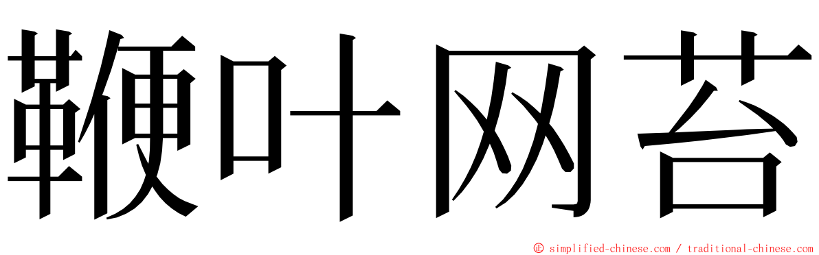 鞭叶网苔 ming font