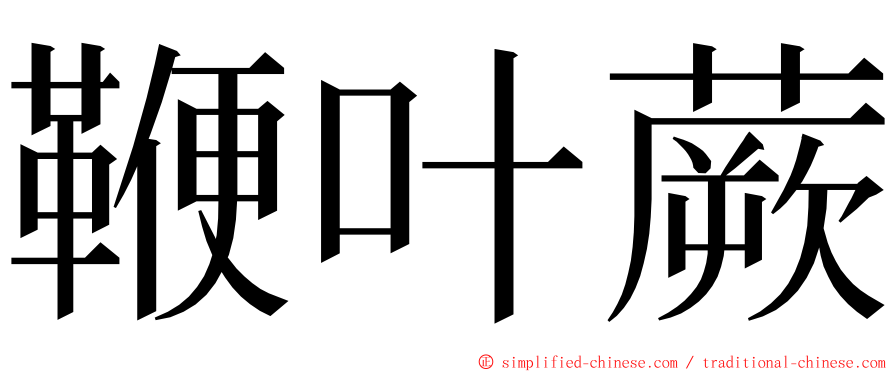 鞭叶蕨 ming font