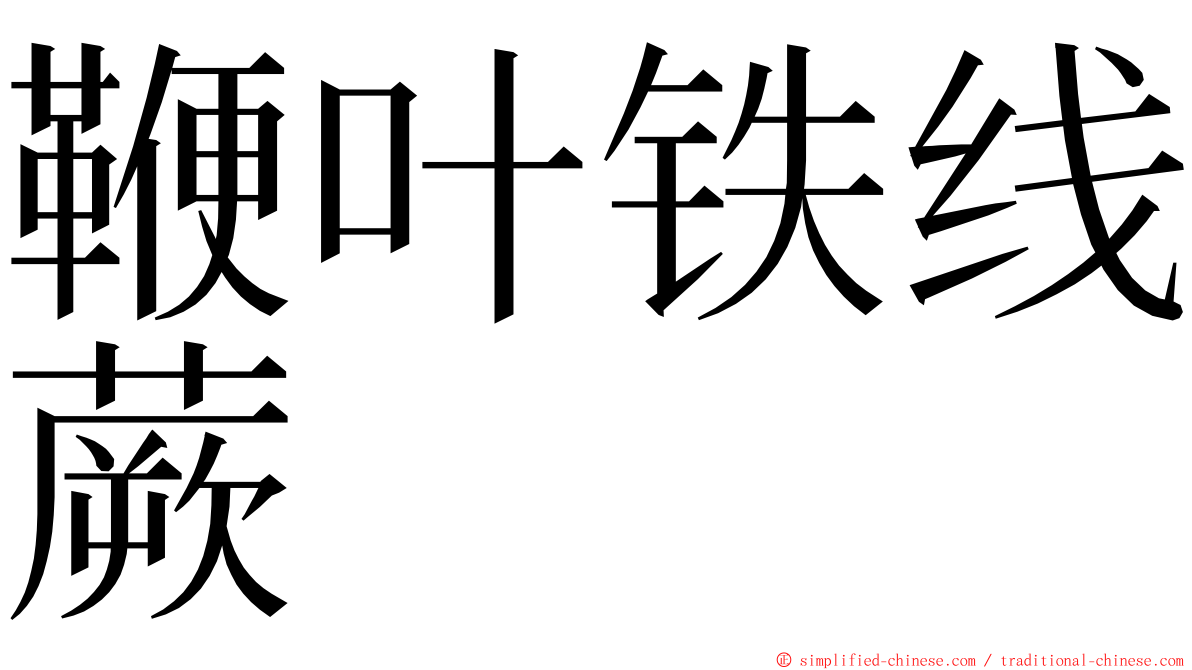 鞭叶铁线蕨 ming font