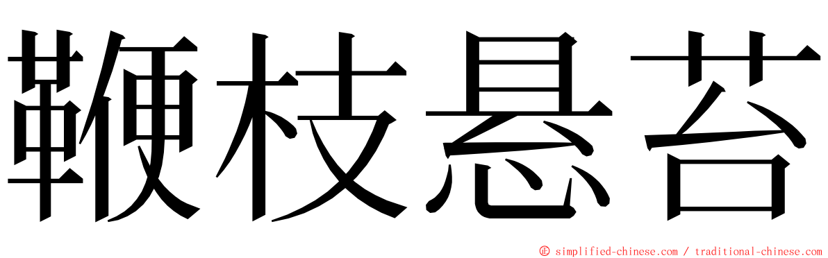 鞭枝悬苔 ming font