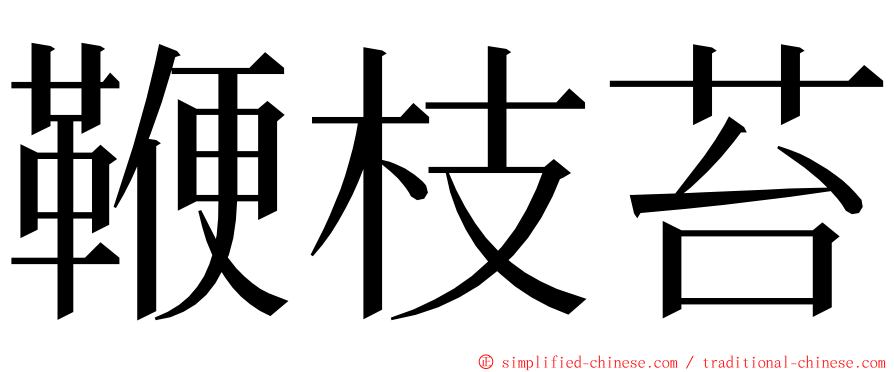 鞭枝苔 ming font