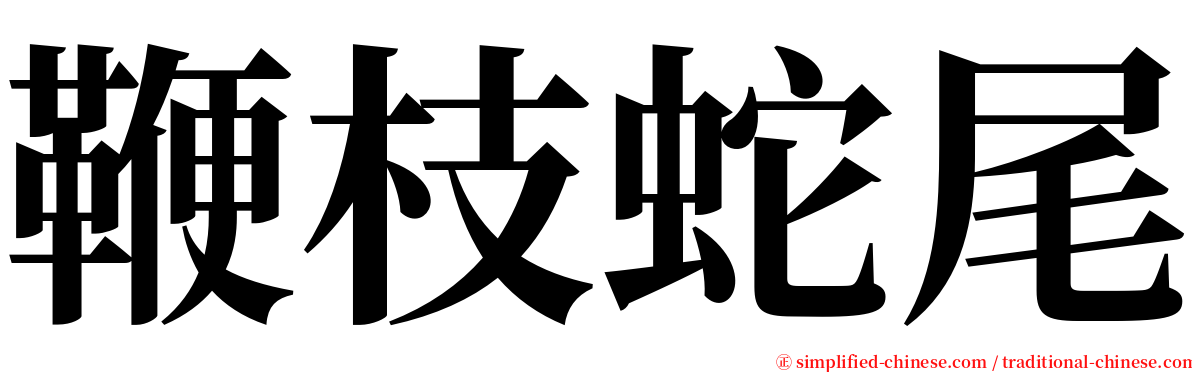 鞭枝蛇尾 serif font