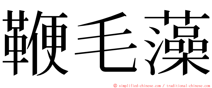 鞭毛藻 ming font