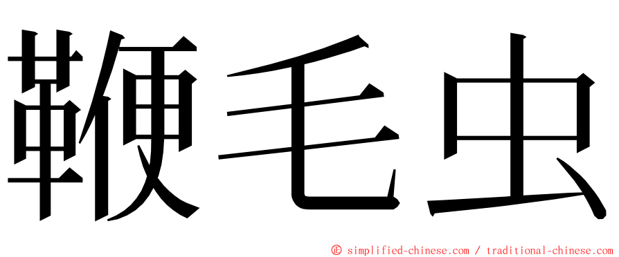 鞭毛虫 ming font