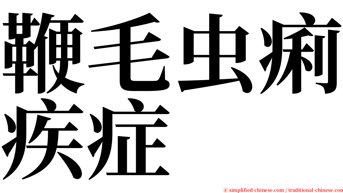 鞭毛虫痢疾症 serif font