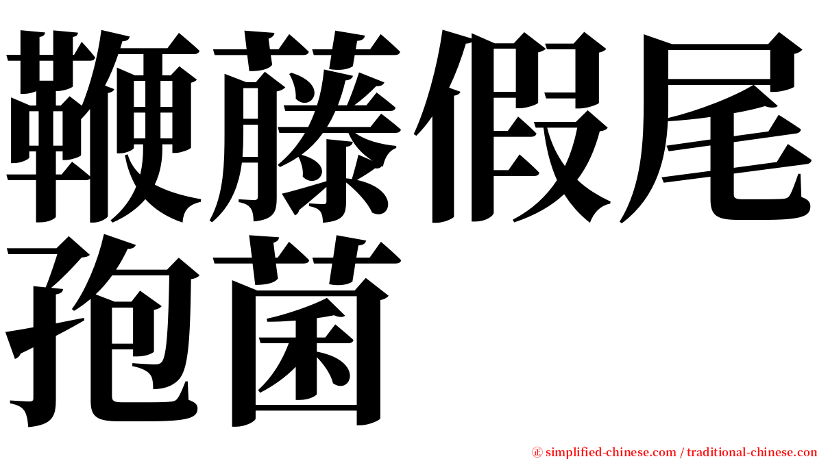 鞭藤假尾孢菌 serif font