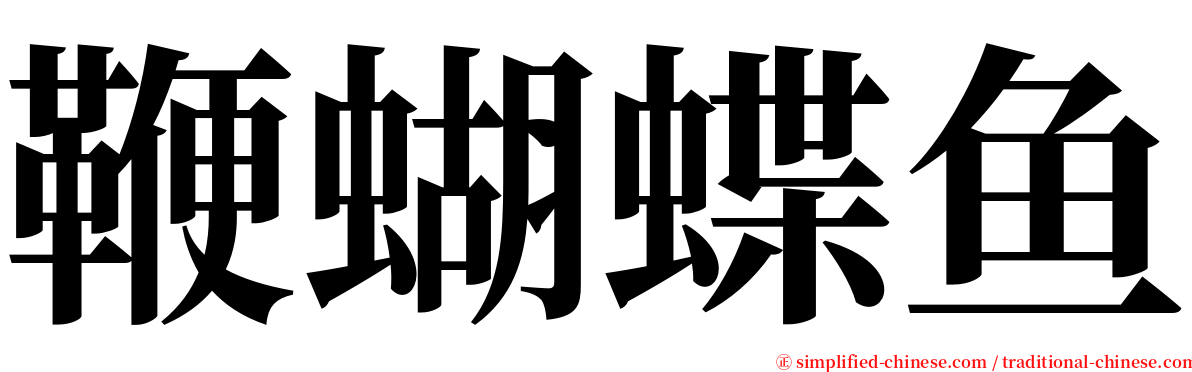 鞭蝴蝶鱼 serif font