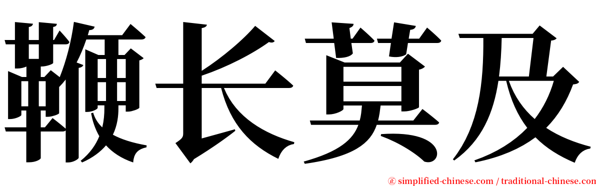 鞭长莫及 serif font