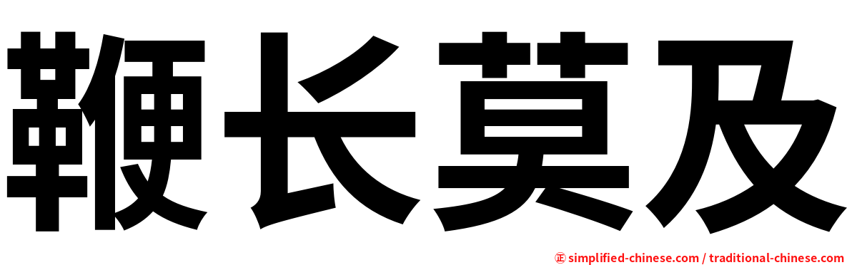 鞭长莫及