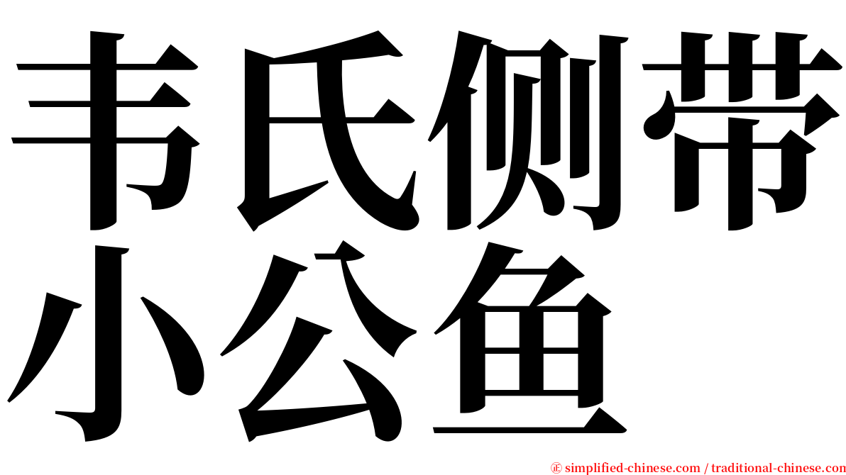 韦氏侧带小公鱼 serif font