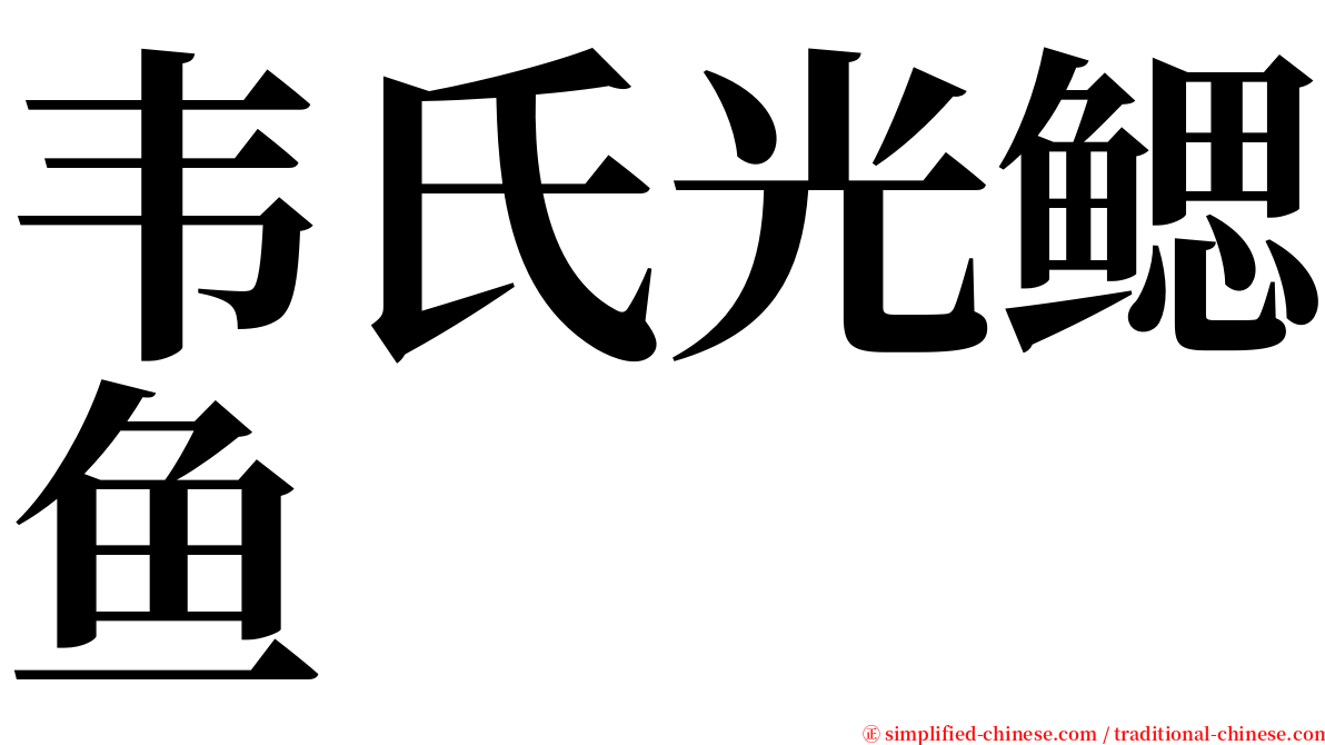 韦氏光鳃鱼 serif font