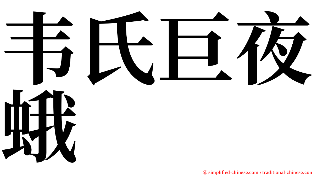 韦氏巨夜蛾 serif font