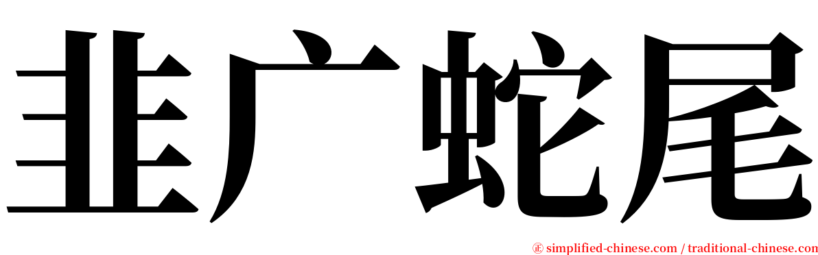 韭广蛇尾 serif font