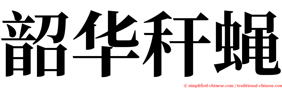 韶华秆蝇 serif font
