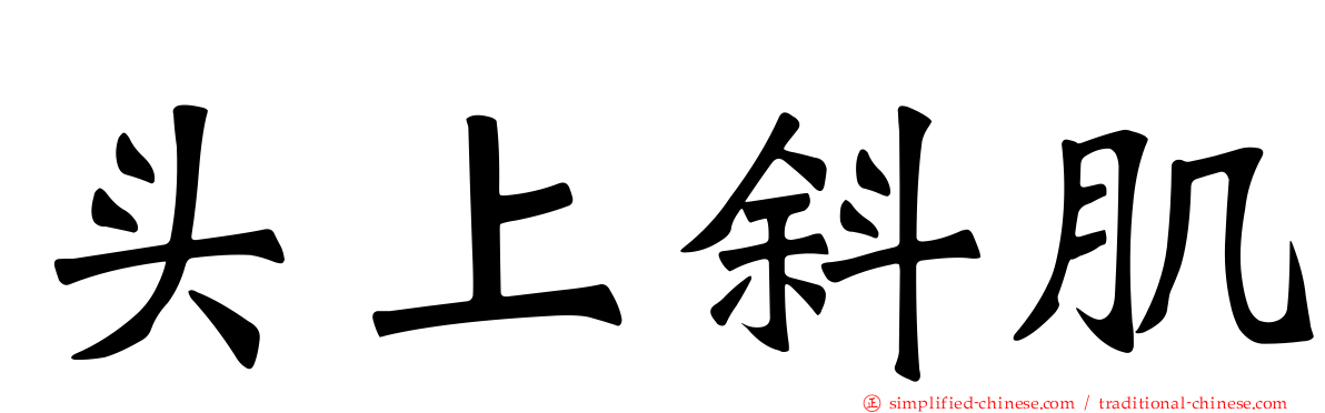 头上斜肌