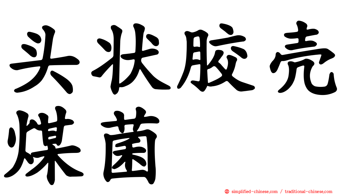 头状胶壳煤菌