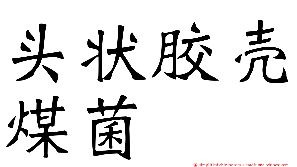 头状胶壳煤菌