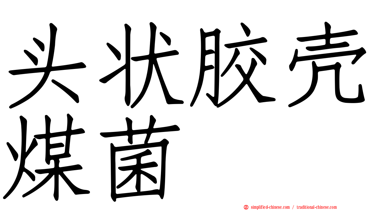 头状胶壳煤菌